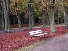 B-Herbststimmung 053.jpg